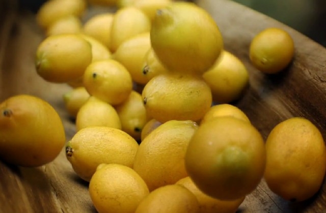 Alex Roman Lemons Alex Roman