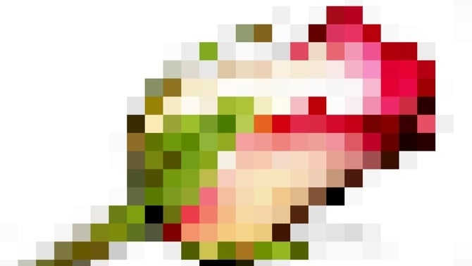 Pixellated Rose David Shapton/RedShark